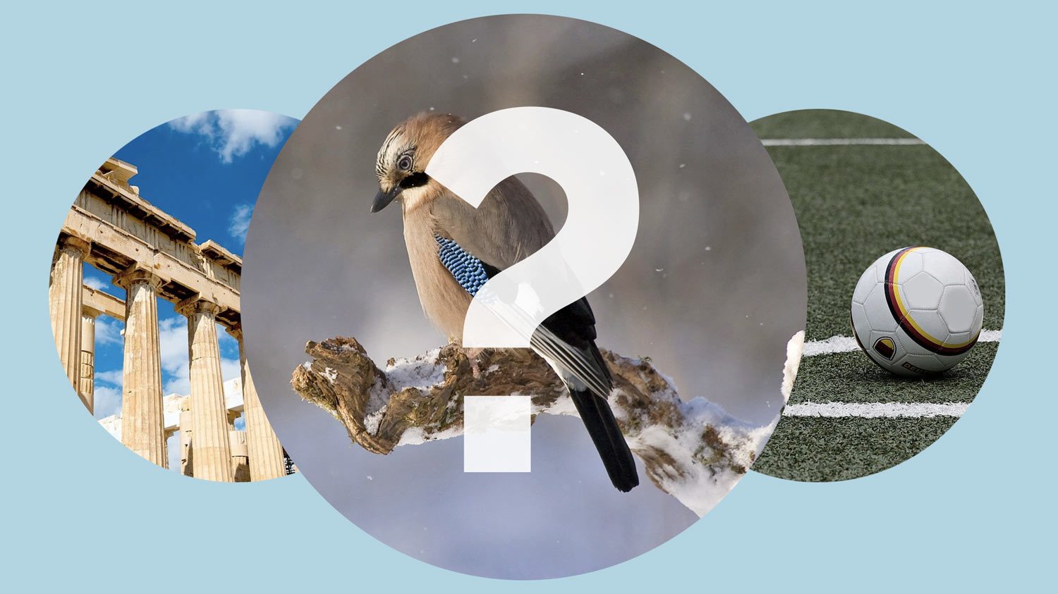 quizforside Ugequizzen